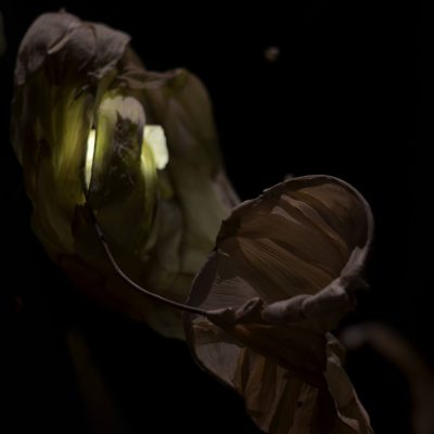 _DSC0066