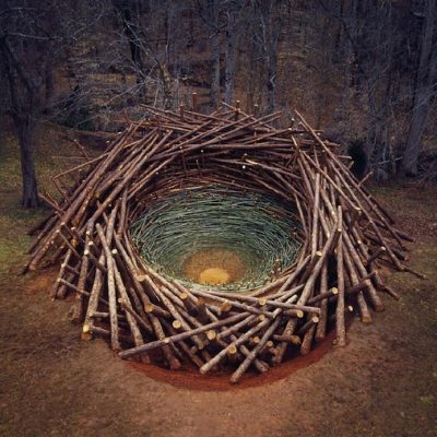 Clemson Clay Nest